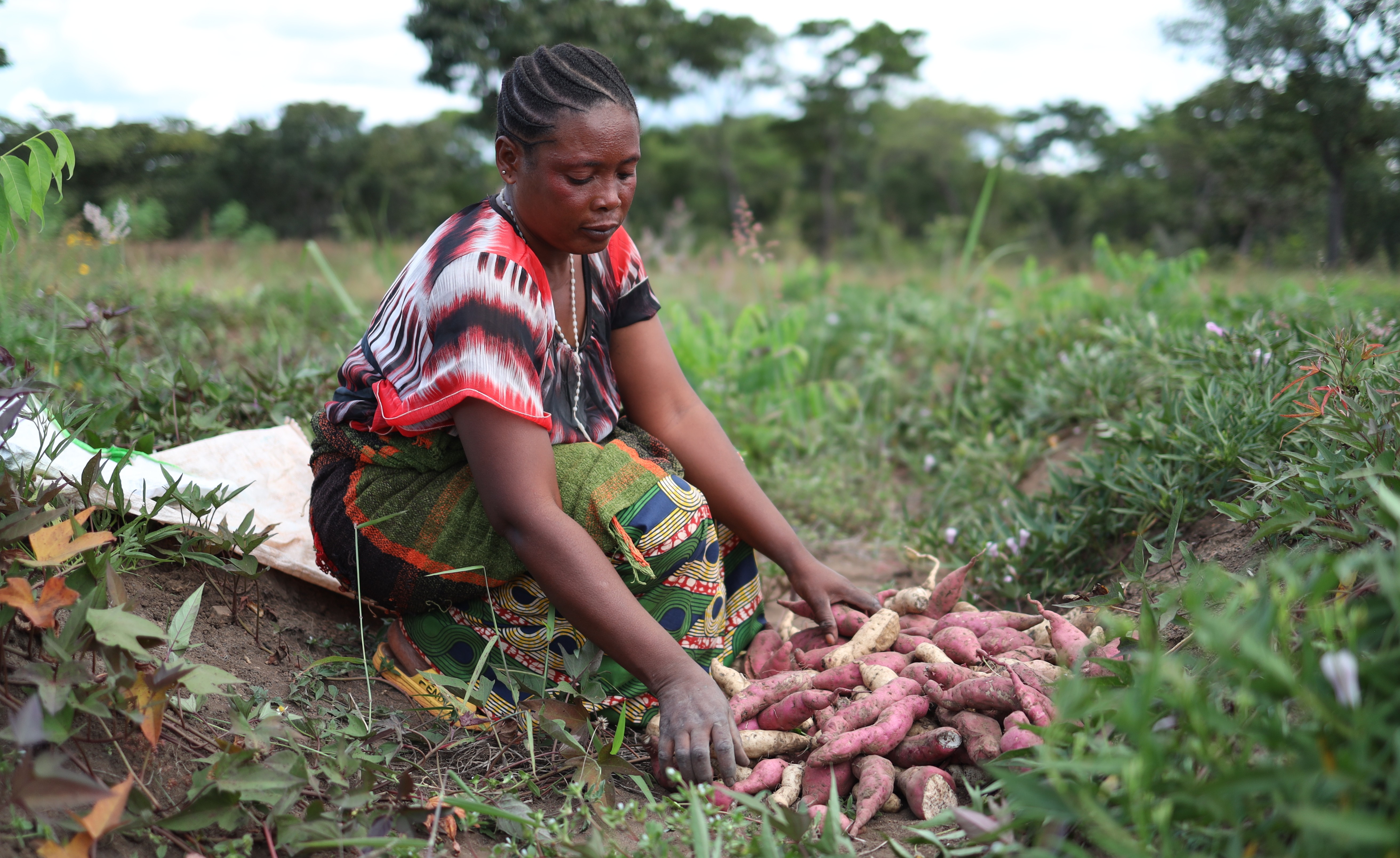 Woman in kitchen garden